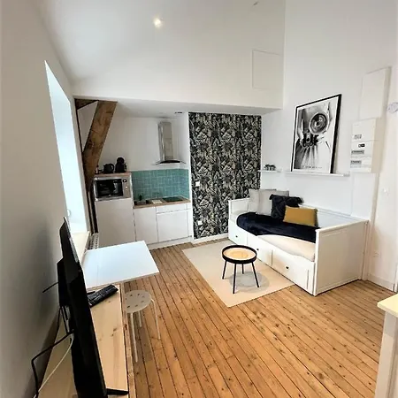 Studio Proche Hyper-centre Avenue Jean Jaures Apartment *